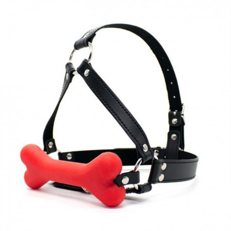 Сбруя на голову с косточкой