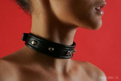 Ошейник узкий с окантовкой P299