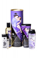 Подарочный набор плотские утехи 5 предметов SHUNGA CARNAL PLEASURES