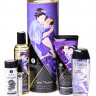 Подарочный набор плотские утехи 5 предметов SHUNGA CARNAL PLEASURES