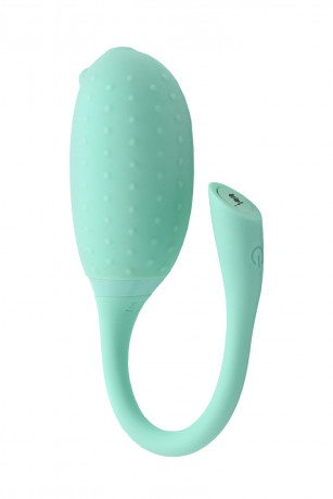 Вибратор и тренажёр Кегеля с управлением с телефона Magic Motion FUGU