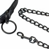 Стильный черный ошейник с поводком на карабине Party Hard Sin