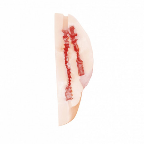 Реалистичная вагина и попка для мастурбации с вибропулей Satisfaction Glorious