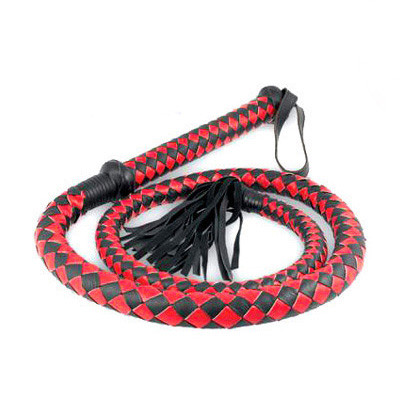 Плеть послушания