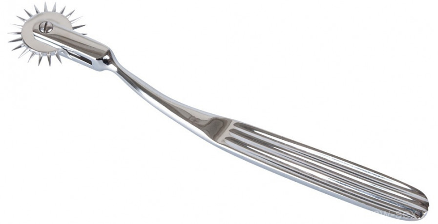 Колесо Wartenberga