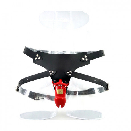 Мужские трусы верности с клеткой на пенис