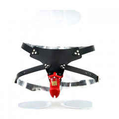 Мужские трусы верности с клеткой на пенис