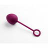 Вагинальные шарики со смещенным центром тяжести Nova Ball SVAKOM