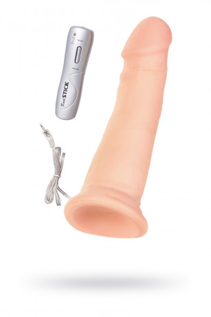 Телесный ротатор на присоске с пультом управления RealStick Elite ROTATE