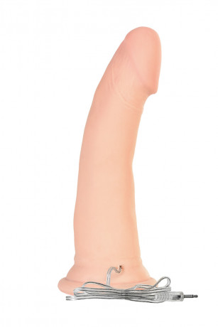 Телесный ротатор на присоске с пультом управления RealStick Elite ROTATE