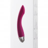 Нежный вибростимулятор для женщин Amy SVAKOM