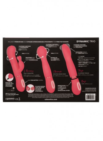 Коралловый вибратор с 3 сменными стволами Dynamic Trio