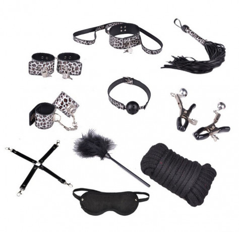 Набор 11 предметов с хищным рисунком