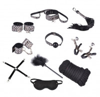 Набор 11 предметов с хищным рисунком