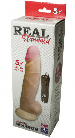 Вибромассажёр неоскин с выносным блоком REAL Standard