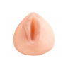 Ультра реалистичный мастурбатор в форме вагины Sorority Snatch