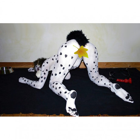 Анальная пробка из металла с хвостом