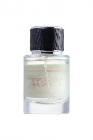 Женская парфюмерная вода с феромонами цитрус и специи Natural Instinct Sunny Land