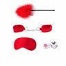 Эротический набор аксессуаров из 4 предметов Introductory Bondage Kit 2
