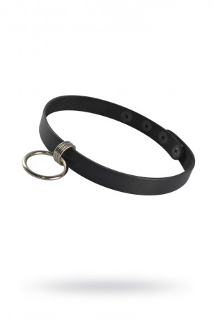 Кожаный чокер декорированный кольцом Sitabella