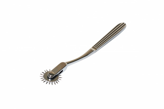 Металлическое игольчатое колесо Вартенберга Party Hard Please Me