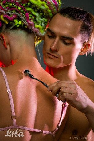 Металлическое игольчатое колесо Вартенберга Party Hard Please Me