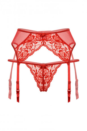 Красные кружевные трусики и пояс для чулок с подвязками