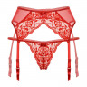 Красные кружевные трусики и пояс для чулок с подвязками