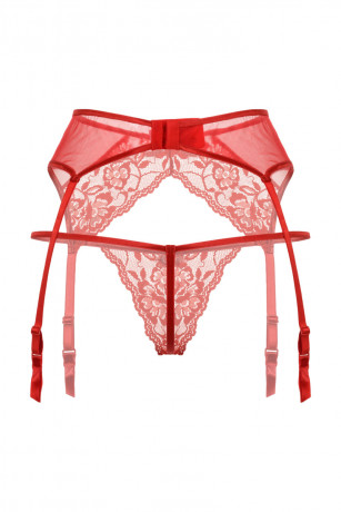 Красные кружевные трусики и пояс для чулок с подвязками