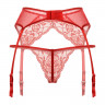 Красные кружевные трусики и пояс для чулок с подвязками
