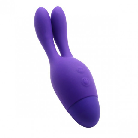 Стильный многофункциональный вибростимулятор для эрогенных зон Dream Bunn