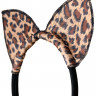 Леопардовый костюм кошки Candy Girl