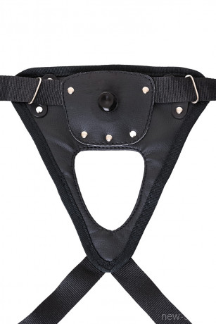 Комплект из трусиков и сменной насадки для страпона RealStick Strap-On Harley