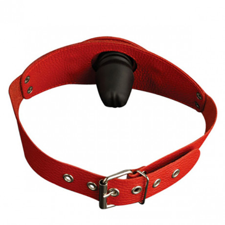 Кляп с фаллосом затычкой