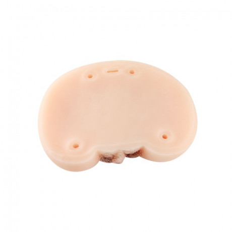 Мастурбатор попа и вагина с голосовым сопровождением и вибрацией Baile