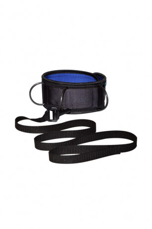 Черно-синий ошейник с мягкой подкладкой и поводком