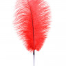 Нежное страусиное перо-щекоталка TOYFA Theatre