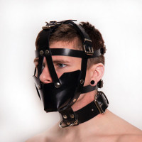 Сбруя на голову с ошейником