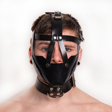 Сбруя на голову с ошейником