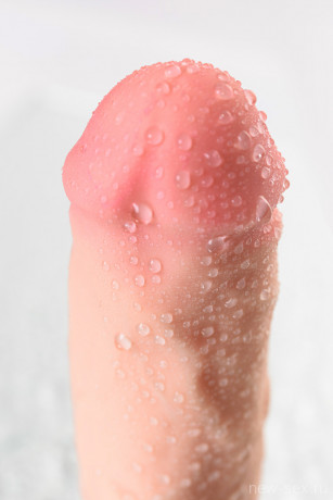 Реалистичный фаллоимитатор с присоской из эластичного материала RealStick Elite DILDO