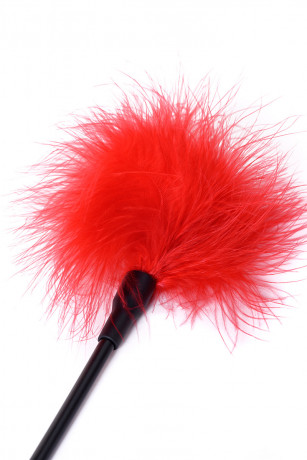 Стек щекоталка с нежными и легкими перьями TOYFA Theatre