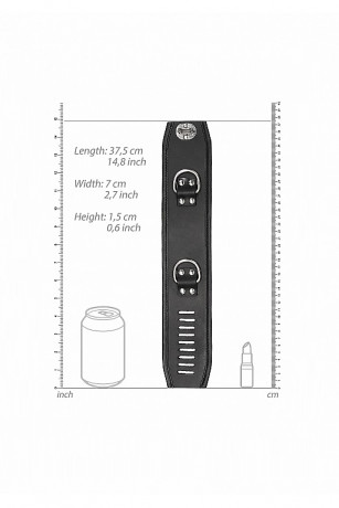Наножники с навесным замком из нержавеющей стали Restraint Ankle Cuff With Padlock