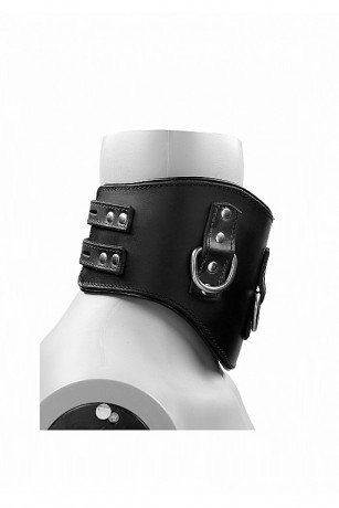 Ошейник из натуральной кожи с тонкой подкладкой Heavy Duty Padded Posture Collar
