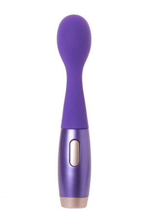 Вибратор с двумя сменными насадками для стимуляции эрогенных зон Le Stelle PERKS SERIES EX-1