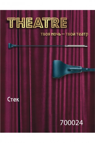 Чёрный кожаный стек с небольшим шлепком и стильной ручкой TOYFA Theatre