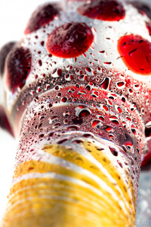 Рельефный двухсторонний фаллоимитатор из цветного стекла Sexus Glass