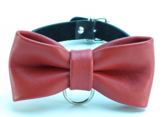 Кожаный ошейник с бабочкой