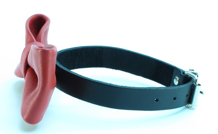 Кожаный ошейник с бабочкой