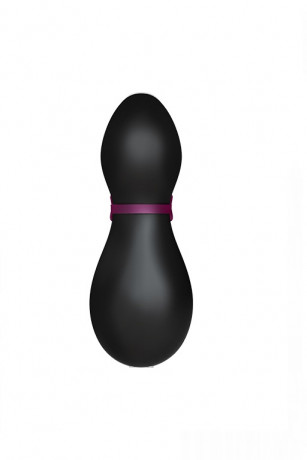Вакуум-волновой бесконтактный стимулятор Satisfyer Pro Penguin NG