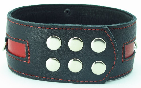 Черный кожаный ошейник с красной кожаной вставкой и кольцом